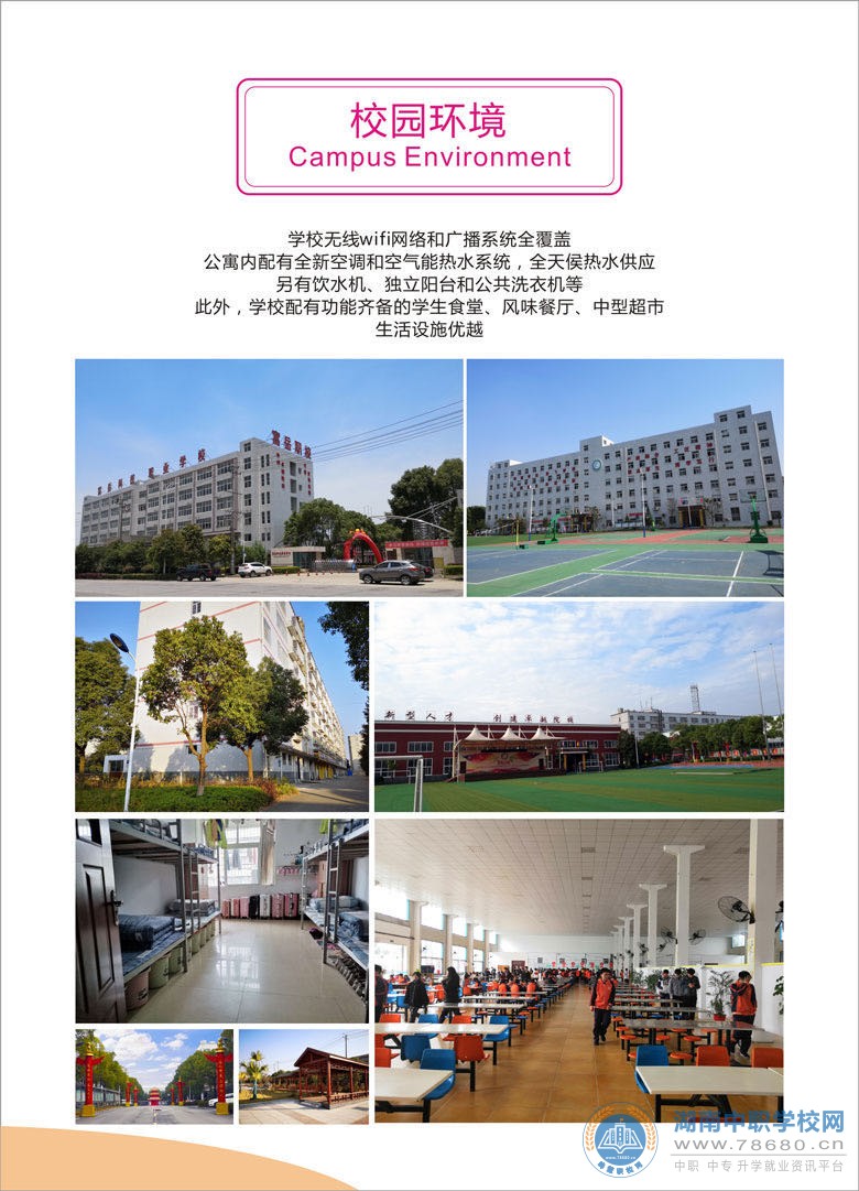  湖南中专职高学校-迪育桥职校网 